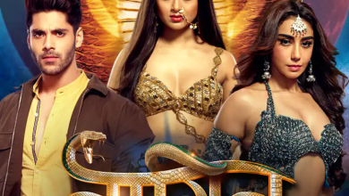 Photo of Naagin 6 drama serial Written Story Wiki: Cast, Timings, Real Name, Age, images, TRP & More