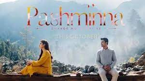 Photo of Pashminna 29th February 2024 Episode 110 Video